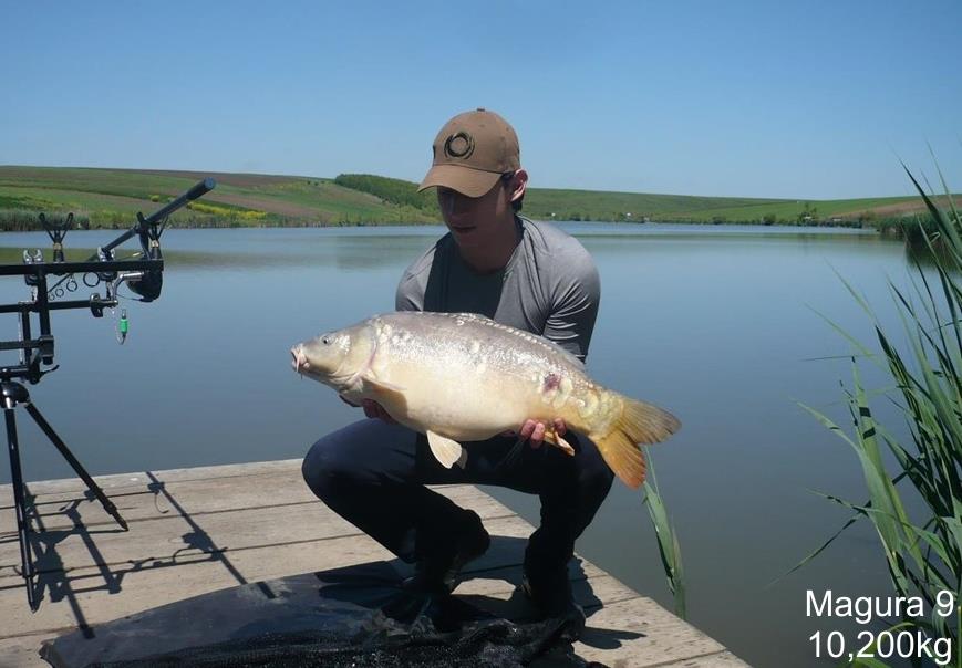 Capturi - m910200.jpg